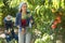 Young female orchard owner harvesting ripe peaches