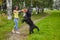 Young female owner trains black briard with toy on open air.