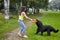 Young female owner trains black briard with toy in public park.