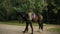 Young female professional horse rider dismounting from the horse, jumping on the ground, looking in the camera and