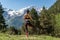 Young female relaxes in yoga pose in green nature