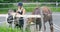 Young female rider preparing her arabian horse for riding