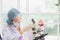 Young female scientist Scientists in protective glasses and gloves testing tube chemical ingredient,test samples of antibiotics