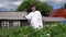 Young female scientist showing thumb up against a background of potato field