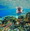 Young female snorkler, takes pictures of the underwater world