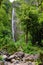 Young female tourist hiking to the famous Waimoku Falls at the head of the Pipiwai Trail, above Seven Sacred Pools on the Road to