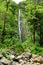 Young female tourist hiking to the famous Waimoku Falls at the head of the Pipiwai Trail, above Seven Sacred Pools on the Road to