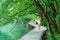 Young female tourist walks along a walkway running along a lake in Plitvice.