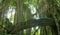 Young female traveler crossing beautiful moss covered stone bridge in forest.