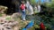 Young female traveller walking in the jungles. Two colorful parrots sitting near waterfall.