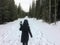 A young female walking through a snow covered trail in the forest snowshoeing during the winter in the Rockies