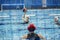 Young female water polo player with ball throwing it to gate of rival team