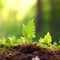 Young fern growing in the forest, shallow depth of field