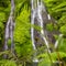 Young fern leaf close-up with a Beautiful Banyumala Waterfall