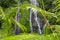 Young fern leaf close-up and beautiful Banyumala Waterfall