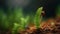 Young fern sprout realistic illustration with isolated blurry background