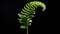 A Young Fern Uncurling - Minimalistic and Clean Image AI Generated