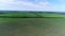 Young fields of grain separated by forest belts, Russia