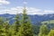 Young fir trees against the opposite mountain range