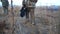 Young fireman and military going on dry grass at countryside. Male firefighter and man in camouflage uniform walking