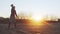 Young and fit man having evening workout outdoor. Urban sunset background. Fitness and sport.