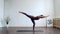 Young and fit woman practicing yoga indoor in the class. Stretching exercise in the day light. Sport, fitness, health