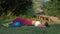 Young fitness girl pumping press in supine position and legs locking on large fitness ball on a green lawn in nature