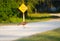 Young florida turkey in front of dead end sign