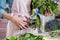 Young florist in apron holding bouquet and cutting green stems with secateurs