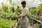 Young florist taking photo of plants on smartphone