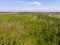 A young forest that has grown after severe forest fires. Aerial photography