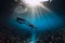 Young freediver woman with fins glides and amazing sun rays. Freediving underwater in sea