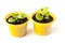 Young fresh green seedlings of petunia in yellow plastic containers with soil.White isolated background.