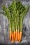 Young fresh organic farmer carrots on rustic background, closeup, top view