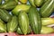 Young fruits of Pointed gourd, Trichosanthes dioica