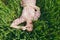 Young fun overjoyed beautiful woman in light patterned dress lying on grass showing victory sign resting in sunny