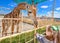 Young funny giraffe and beautiful little girl at the zoo. Little girl feeding a giraffe at the zoo at the day time.