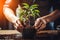 Young gardener planting tree in garden, actively tending to plants and watering with care.