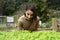 Young gardener taking care of her plants