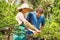 Young gardeners with bonsai