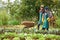 Young Gardeners Chatting Animatedly