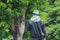 Young gardeners The hat is covered to prevent sunburn and heat. Gardeners cutting gardens in a tropical garden