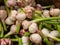 Young garlic. Young garlic harvest. many garlics. Landscape. A backdrop of garlics. Street vegetable market