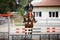 Young gelding horse and adult man rider jumping during equestrian showjumping competition in daytime