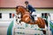 Young gelding horse and handsome man rider jumping obstacle