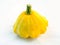 Young gentle yellow bush pumpkin