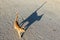 Young ginger cat walks empty asphalt street from camera into distance with tail up in sunny summer day,shadow silhouette