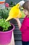 Young gir watering basil plant smiling