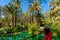 A young girl is admiring palm groves at Huerto del Cura garden in Elche