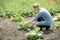 Young girl agronomist planting new plant